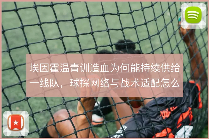 埃因霍温青训造血为何能持续供给一线队，球探网络与战术适配怎么衔接