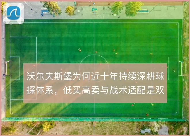 沃尔夫斯堡为何近十年持续深耕球探体系，低买高卖与战术适配是双重驱动