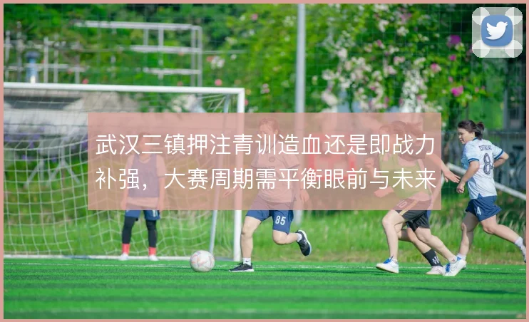 武汉三镇押注青训造血还是即战力补强,大赛周期需平衡眼前与未来